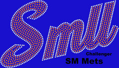 Women Jersey Contrast V Neck Raglan Short Sleeve