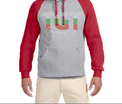 UNISEX Dri Power® Colorblock Raglan Hooded Pullover Sweatshirt-TGT